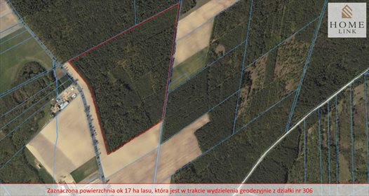Działka leśna na sprzedaż Nowy Dwór 171 900m2 Foto 2
