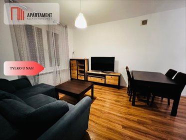 mieszkanie na wynajem 35m2 mieszkanie Szubin