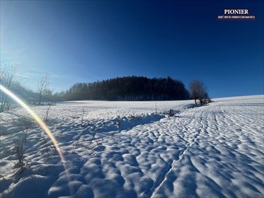 działka na sprzedaż 3000m2 działka Ustroń