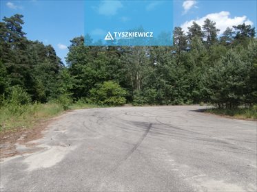 Działka inwestycyjna na sprzedaż Babi Dół 20 302m2 Foto 3