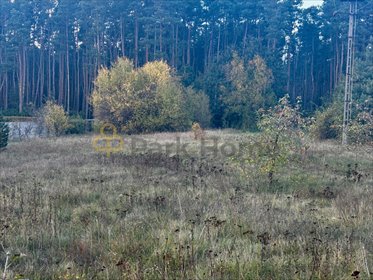 działka na sprzedaż 3014m2 działka Rudno