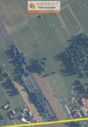 działka na sprzedaż 19600m2 działka Zygmuntowo