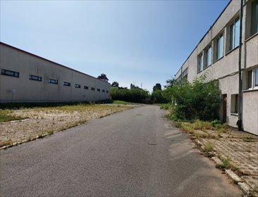 lokal użytkowy na wynajem 2600m2 lokal użytkowy Zduńska Wola, Panorama