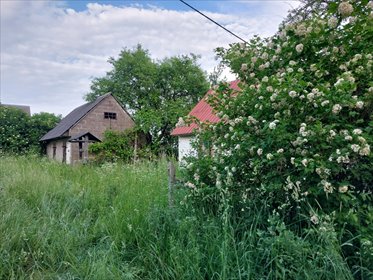 działka na sprzedaż 14475m2 działka Białogóry, Białogóry