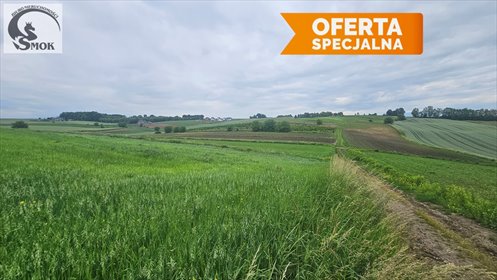 Sprzedam działkę rolną 1030 m² z potencjałem rozwoju działka Głęboka