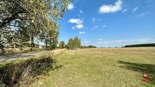 działka na sprzedaż 1000m2 działka Rafałówka