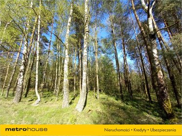 Działka budowlana na sprzedaż Białe Błoto, Dobroszyce 3 087m2 Foto 2