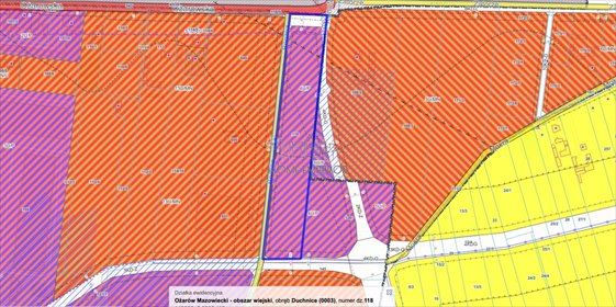działka na sprzedaż 29205m2 działka Duchnice, Boczna