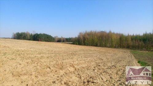 Działka rolna na sprzedaż Lubcza 5 000m2 Foto 6