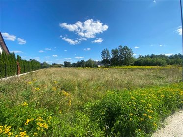 Polecam przestronną działkę 2950 m² z dostępem do infrastruktury działka Zduńska Wola, Nowe Miasto