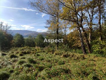 działka na sprzedaż 2600m2 działka Brenna