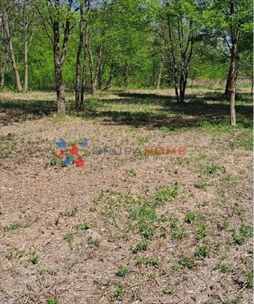 Działka 1480 m² z lasem i planem zagospodarowania działka Konstancin-Jeziorna