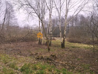 Zapraszam do obejrzenia dużej działki 5199 m² z mediami i możliwością zabudowy działka Składowice