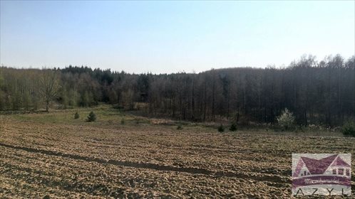 Działka rolna na sprzedaż Lubcza 5 000m2 Foto 2