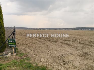 Działka budowlana na sprzedaż Walerianowo 1 501m2 Foto 5