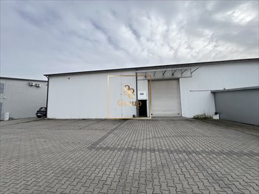 lokal użytkowy na wynajem 400m2 lokal użytkowy Opacz-Kolonia