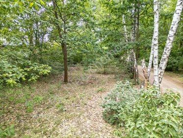 Działka 2000 m² pod zabudowę - Milanówek - cicha lokalizacja działka Milanówek