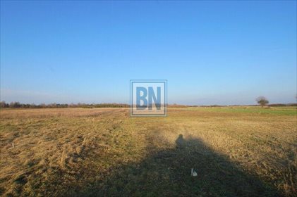 działka na sprzedaż 25000m2 działka Gliwice