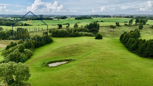 Na sprzedaż działka 14 000 m² z panoramicznym widokiem w Włodowie działka Włodowo