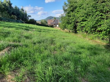 Działka budowlana na sprzedaż Trzebinia 1 596m2 Foto 6