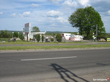 Działka komercyjna na sprzedaż Koszalin, Wilkowo, Gnieźnieńska 87 2 850m2 Foto 6