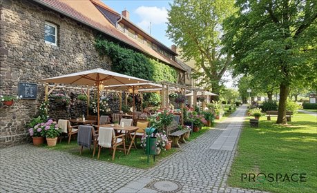 Polecam urokliwy lokal 300 m2 z potencjałem w Żarach lokal użytkowy Żary