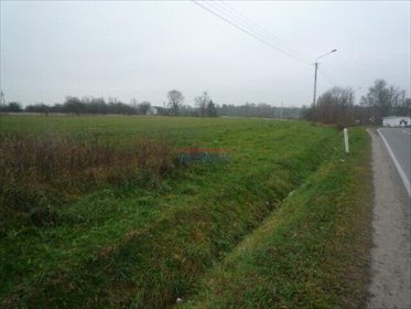 działka na sprzedaż 10000m2 działka Prażmów, Prażmów