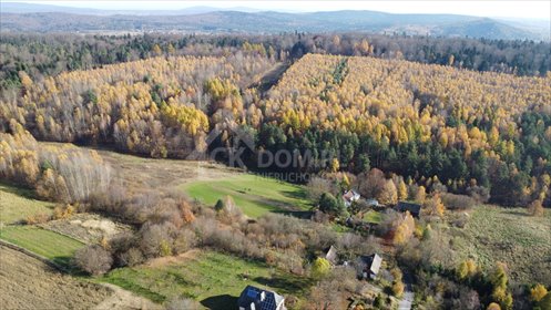 działka na sprzedaż 22500m2 działka Cisów