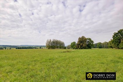 Polecam dużą działkę 4844 m² w Siekierkach z potencjałem działka Siekierki