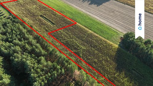 Działka 4100 m² z warunkami zabudowy i dostępem do mediów. działka Siedliska