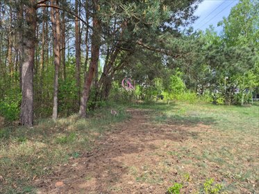 działka na sprzedaż 2590m2 działka Odolion