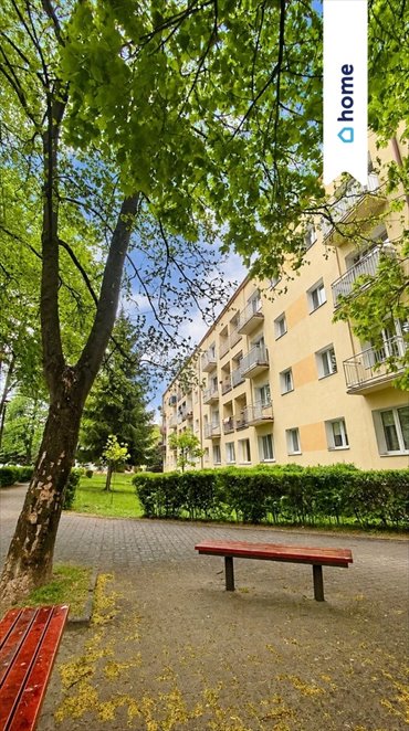 Przestronne 52 m² mieszkanie z potencjałem na Kościuszki mieszkanie Świecie, Kościuszki