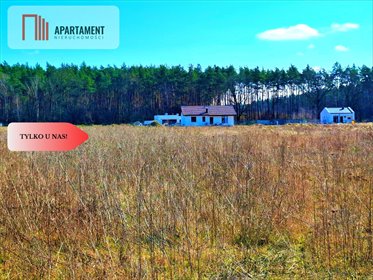 Działka inwestycyjna 1,23 ha z warunkami zabudowy polecam działka Wałdowo Królewskie