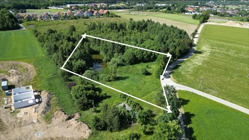 Zalesiona działka z lasem i stawem pod Gdańskiem działka Glincz, Jabłonowa