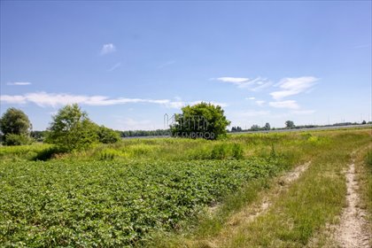 działka na sprzedaż 4025m2 działka Warszawa, Wawer, Las, Zabielska