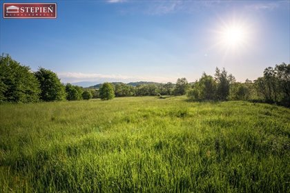 Działka budowlana na sprzedaż Bobrów 3 859m2 Foto 6