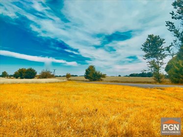 Działka 2711 m² z dostępem do kanalizacji i drogi asfaltowej działka PŁOTY OKOLICA