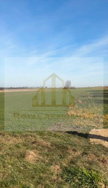 działka na sprzedaż 800m2 działka Kosewo