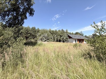 Działka 1200 m² z planem zagospodarowania, prąd, dojazd działka Tanowo