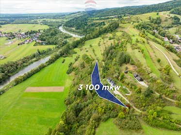 działka na sprzedaż 3100m2 działka Knurów, Świętej Kingi