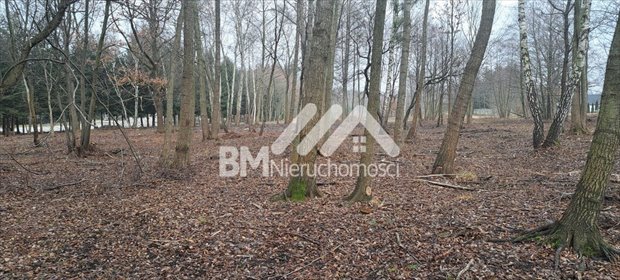 działka na sprzedaż 11625m2 działka Mościska