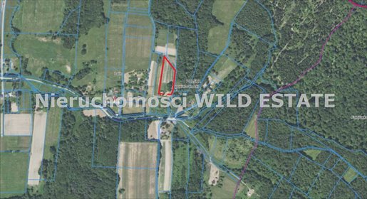 Działka z warunkami zabudowy, 0,68 ha, spokój i natura działka Sanok, Lalin