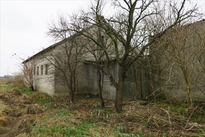 Działka budowlana na sprzedaż Sławno, Janów 25 800m2 Foto 7