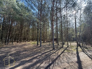 Sprzedam działkę rekreacyjną 42 m² w Basinowie blisko natury działka Basinów, Letniskowa