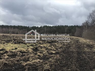 działka na sprzedaż 3123m2 działka Sasino