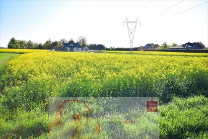 działka na sprzedaż 1146m2 działka Radawiec Mały