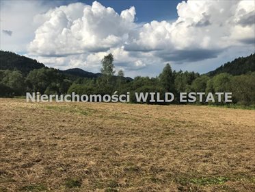 działka na sprzedaż 4535m2 działka Krzywe