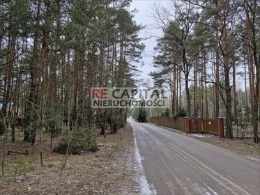 działka na sprzedaż 3024m2 działka Wysychy, Leśna