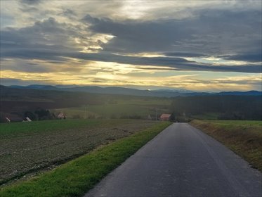 dom na sprzedaż 1300m2 dom Kondratów