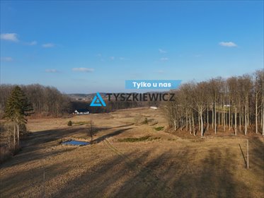 działka na sprzedaż 3102m2 działka Trzepowo, Sambora